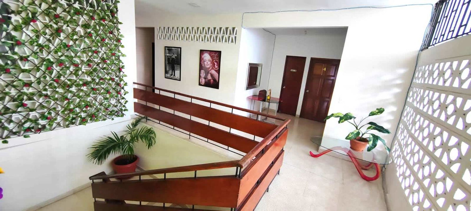 Mid-century hallway with breeze blocks plants Bella Vista Panama room rental common area