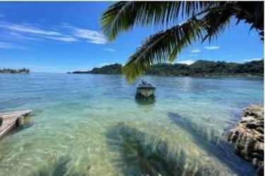 Clear water, dock and boat palm trees Isla Grande Portobelo Panama