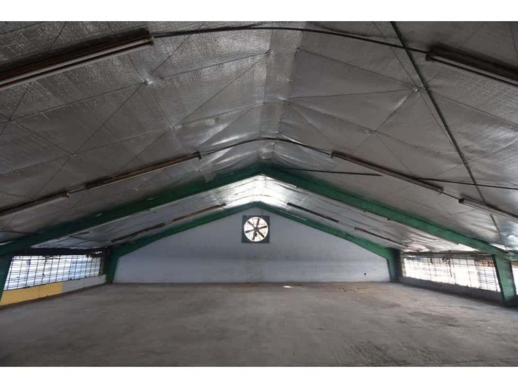 Upper level loft storage area in industrial warehouse insulated ceiling steel beams Panama City