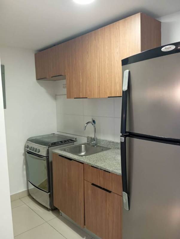 Furnished 1BR Apartment for Rent PH Worldwide Plaza Campo Alegre