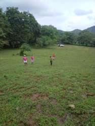 Expansive green plot close to Pacific coast with mixed open fields and tree areas in Pixvae Veraguas