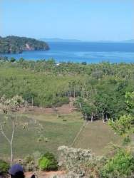 Lush green terrain with partial forest and ocean views perfect for eco-tourism in Pixvae area Veraguas