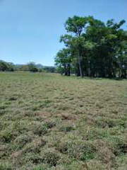 Land for Sale in Las Palmas - 0 bedrooms