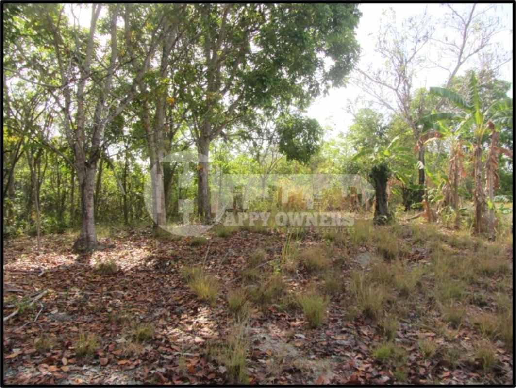 Vacant tree-covered parcel of land perfect for residential or agricultural investment Panama Oeste