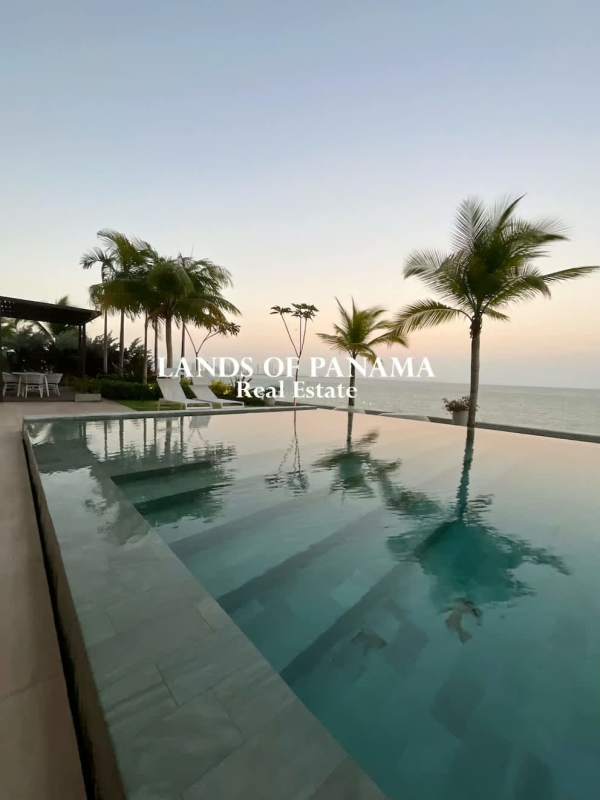 Luxury infinity pool with palm trees and Pacific Ocean views at Ocean Reef Island Panama