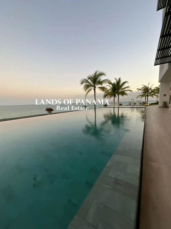 Infinity pool with panoramic oceanfront views, palm trees and marina access at Ocean Reef Islands Panama