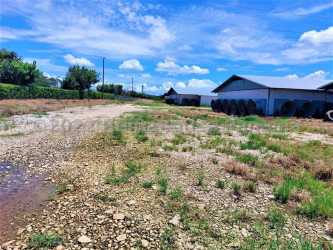 Metal barns with large ventilation fans poultry farm Coclé Panama