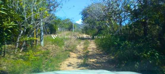 Dirt rural road flanked by dense greenery under blue sky farmland for sale Olá Penonomé