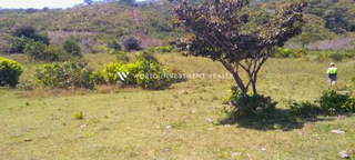 Land / Farm for Sale in Olá - 0 bedrooms
