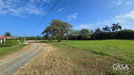Aerial countryside view of green forested land near Pedasi, Panama, ideal for development