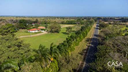 Open buildable land with dirt access road and mature trees Equus Village Pedasi Panama