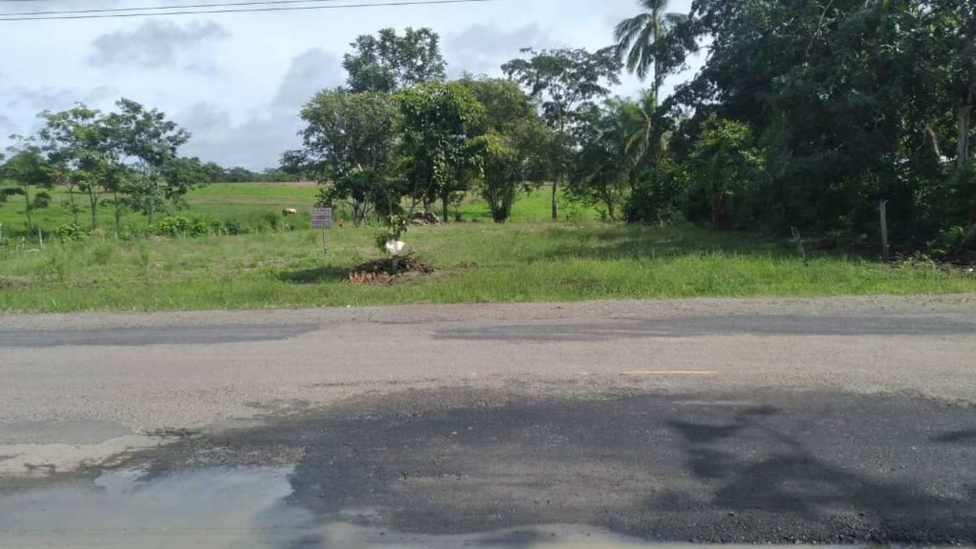 Landscape view of countryside plot with asphalt road and trees Tortí Chepo