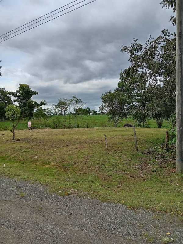 Vacant flat land adjoining asphalt road with scattered trees Chepo Panama