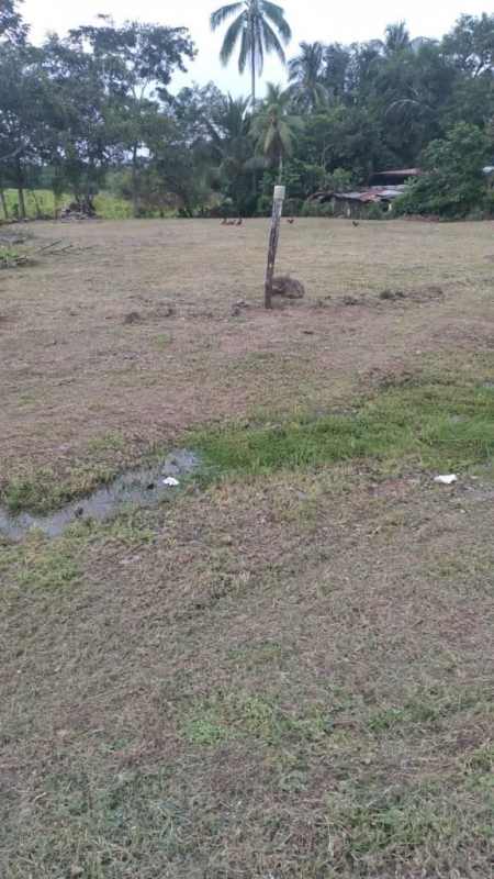 Panoramic rural landscape with paved road and green field near Tortí Panama