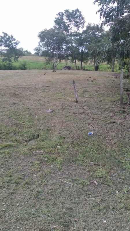 Cleared development land with roadside access and green vegetation in Chepo Panama