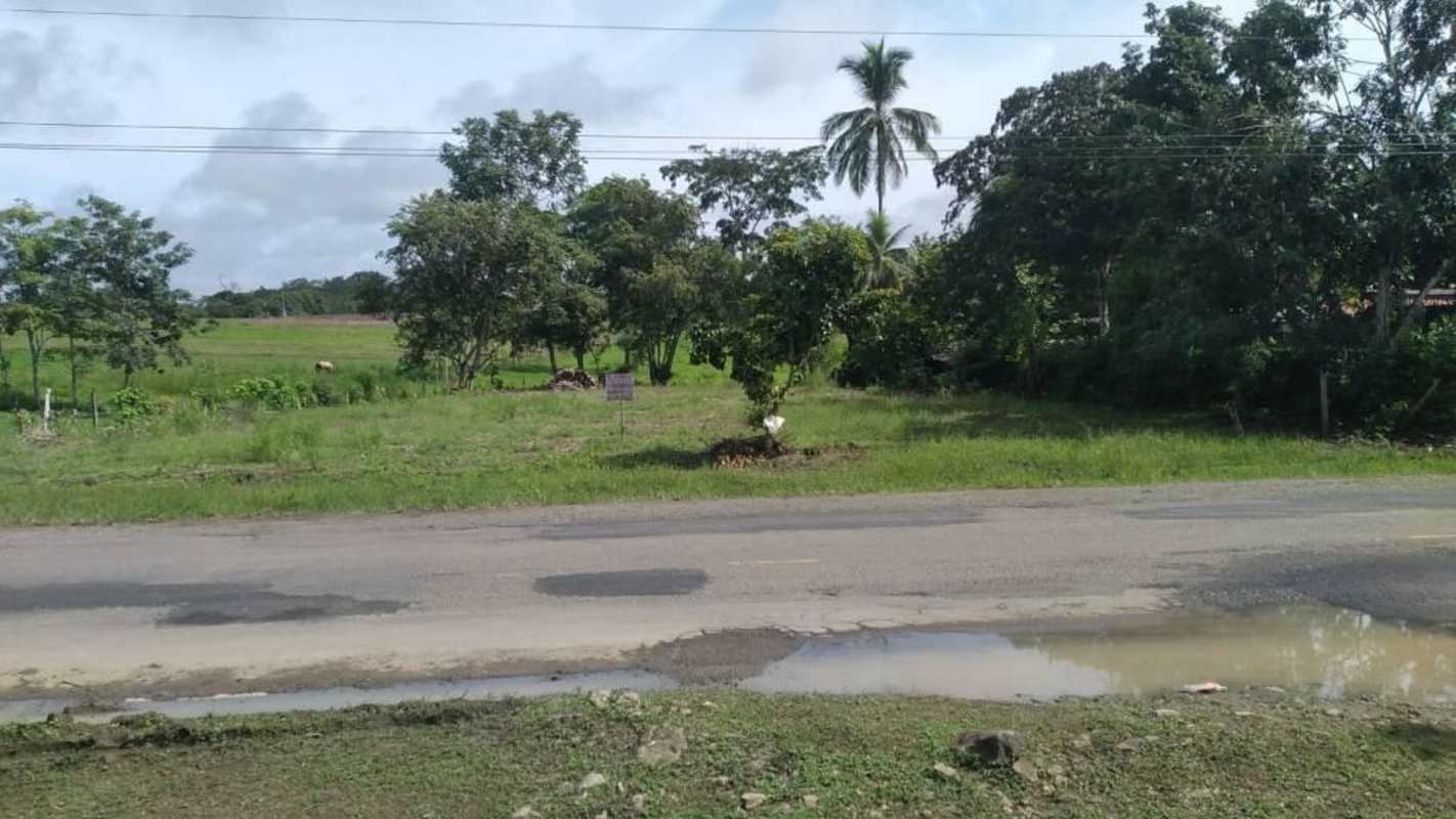 Open countryside parcel with trees and road frontage in Chepo Panama