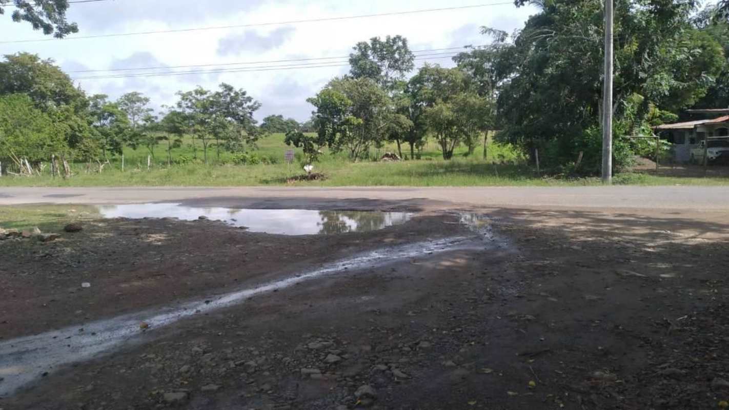 Large roadside land with trees and open grassy spaces eastern Panama