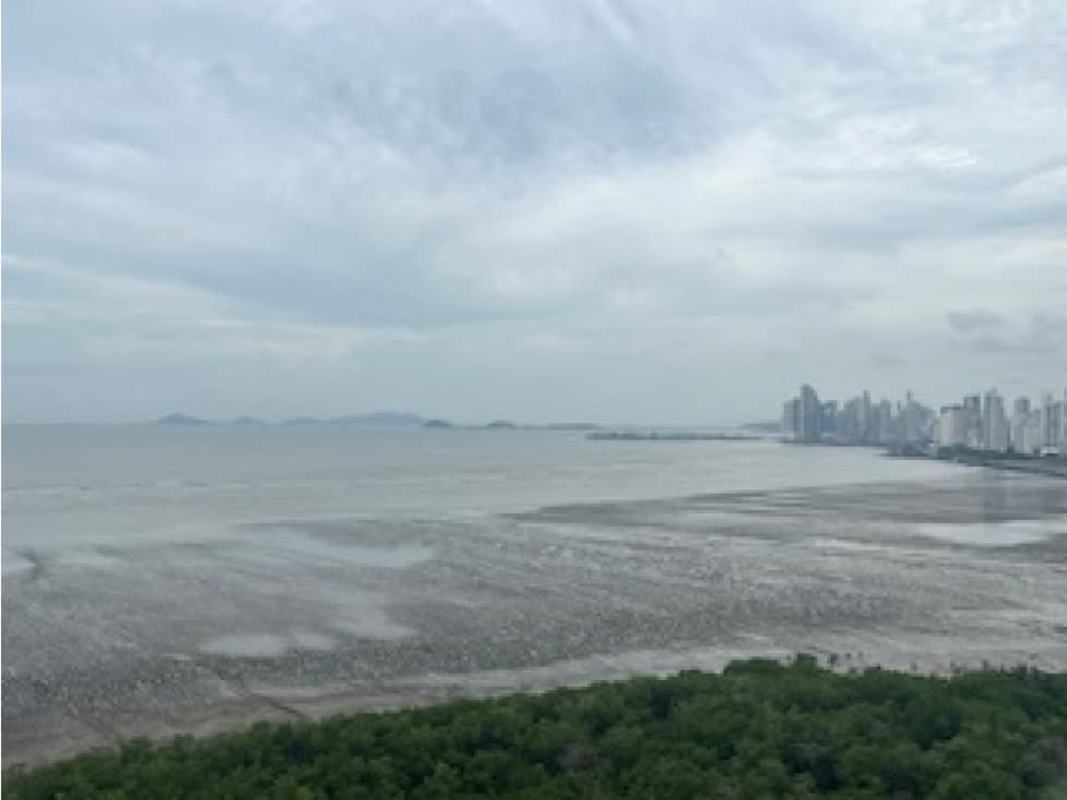 Spacious kitchen with wood cabinetry, large island and granite counters in PH Altamar Panama City