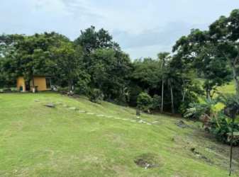 Sloping green lawn with trees and walkways in rural property San Juan Capira Panama