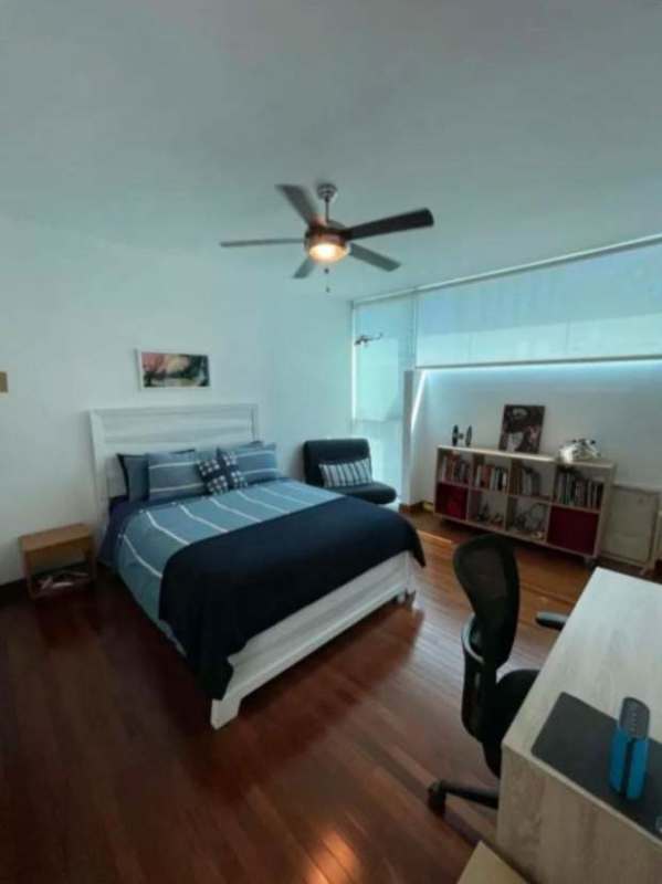 Bedroom with wood flooring, large window, desk area, ceiling fan in San Francisco house