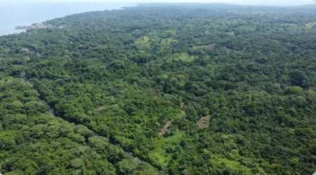 Beach Proximity Land 12,000 m² Achiote Colón