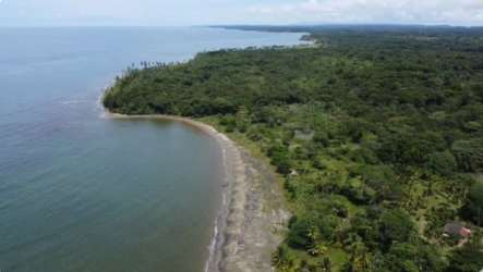 Aerial image of small rural village with houses, roads and forest near Caribbean beaches Achiote Panama