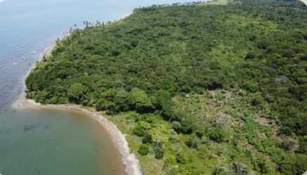 Aerial coastline image showing beachfront and forest transition on Panama’s Caribbean side