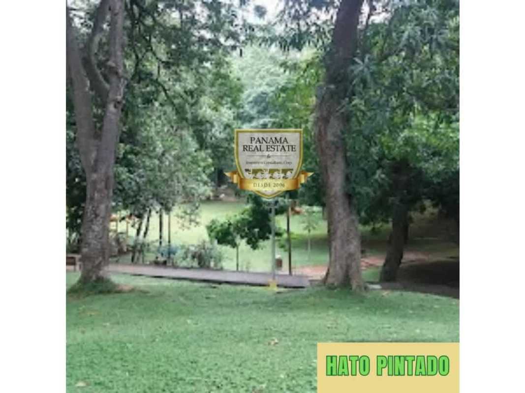 Equipped kitchen with ceramic countertops and double sink PH Vista Bela Tower Panama