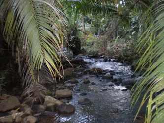 Creek with rocks and lush tropical greenery on eco land for sale in Santa Rita Capira Panama