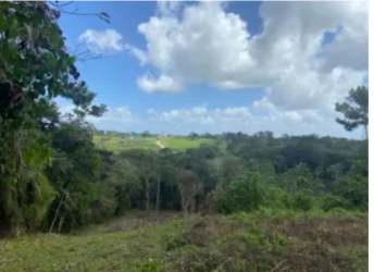 23,000m2 Eco Mountain Land in Santa Rita Capira