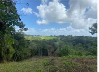 Land for Sale in Santa Rita - 0 bedrooms