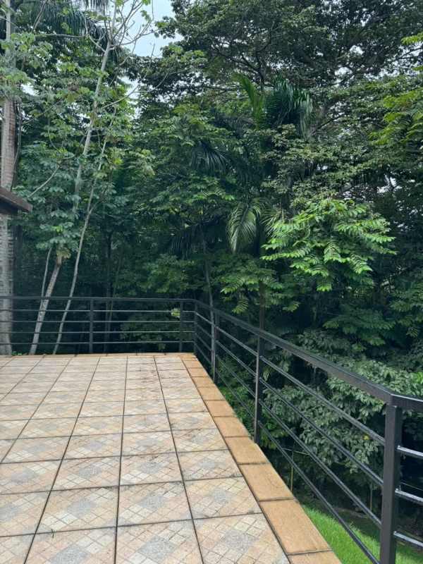 Spacious balcony with panoramic green forest views for rent Cerro Ancón house