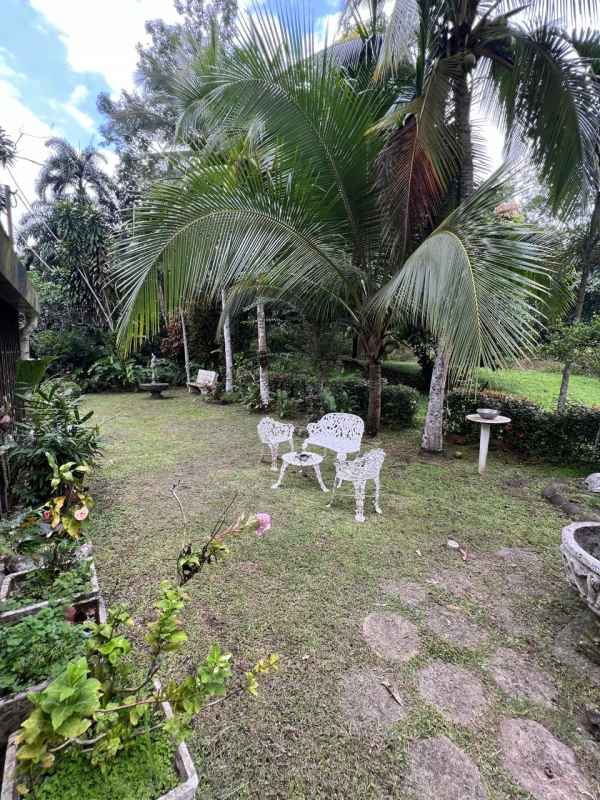 Lush tropical backyard with palms, flowers and patio furniture in Las Cumbres Panama house