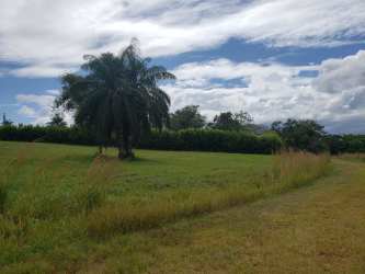 Sandy Pacific beach with waves near Hacienda Los Gavilanes Pedasí Panama