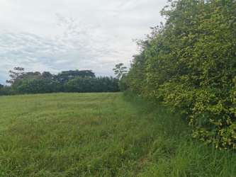 Bordered lot with grassy field and blue sky at Hacienda Los Gavilanes