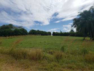 Expansive green lot surrounded by trees under blue sky Pedasí Panama