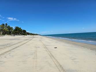 Large swimming pool with ocean views in Buenaventura Beach Resort Panama