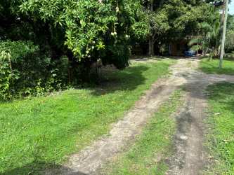 Rustic driveway with lush green garden and mature trees at Coronado Panama property