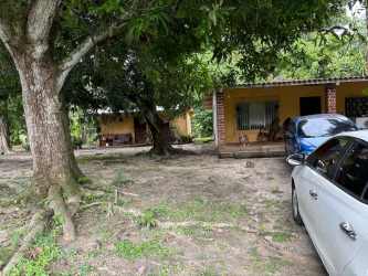 Two rustic yellow houses shaded by large trees with parking area in Coronado Gorgona Panama