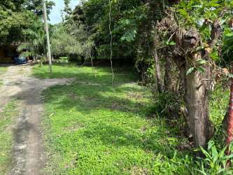 Grassy outdoor area with dirt driveway surrounded by mature trees and dense vegetation at Coronado property Panama