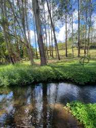 Large grassy buildable land area with mature trees in Volcán Chiriquí Panama for sale