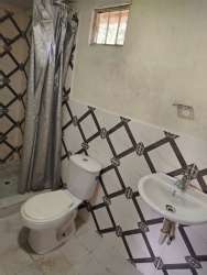 Simple bathroom with blue sink, pink toilet seat and shower in apartment for rent Arraiján Panama