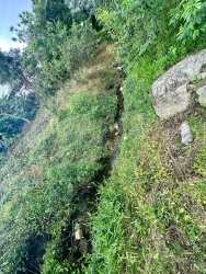 Natural terrain with trees and stream on corner lot Nueva California Panama