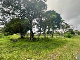Vegetable crops and plantation on Volcán Nueva California 1473 sqm lot Panama