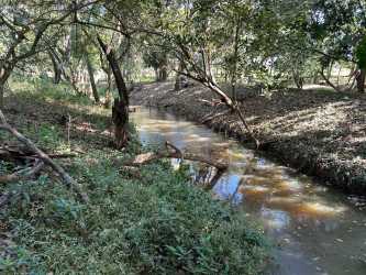 Small creek running through wooded section of farm in Penonomé