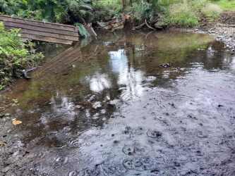 Rural zinc-roof house barn on agricultural cattle farm in Panama