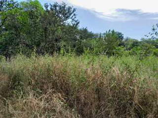 Farm / Agricultural Land for Sale in Soná - 1 bedroom