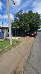 Lush green garden with large trees surrounding house in Volcán Dolega Panama