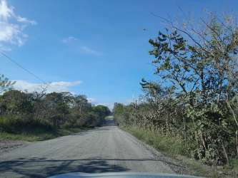 Unpaved road lined with lush greenery in rural countryside near San Francisco Panama