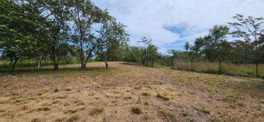 Cleared lot with mature trees under blue sky near surf beaches of Santa Catalina Panama
